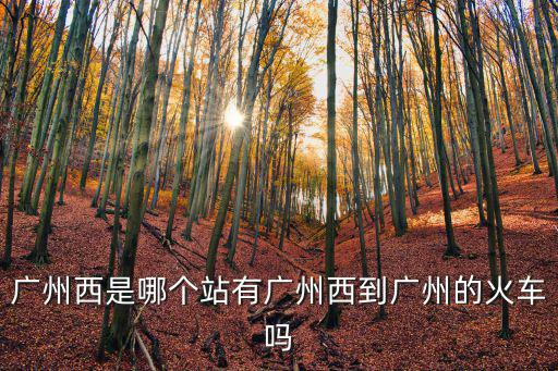 廣州西是哪個(gè)站有廣州西到廣州的火車嗎