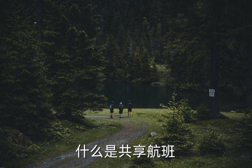 什么是共享航班