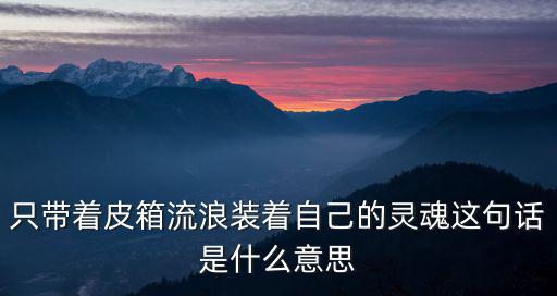 只帶著皮箱流浪裝著自己的靈魂這句話是什么意思