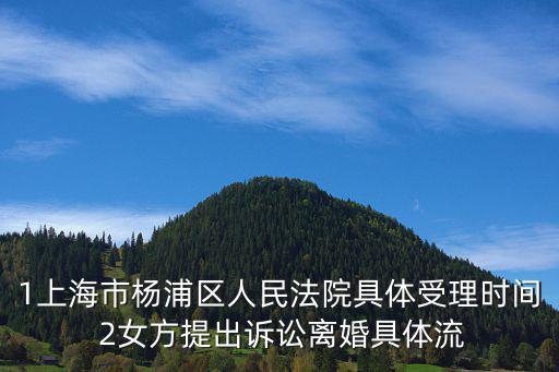 1上海市楊浦區人民法院具體受理時間 2女方提出訴訟離婚具體流
