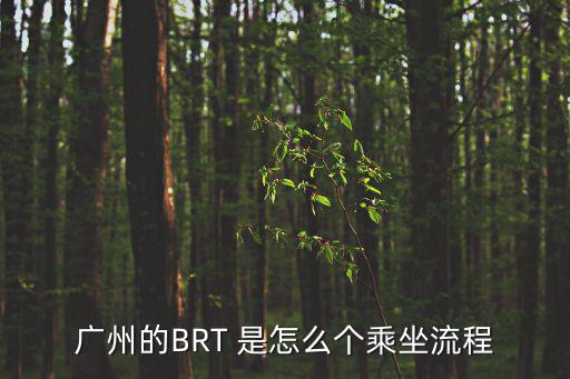 廣州的BRT 是怎么個乘坐流程