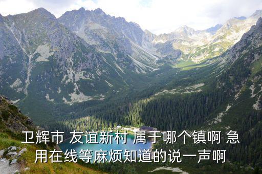 衛輝市 友誼新村 屬于哪個鎮啊 急用在線等麻煩知道的說一聲啊