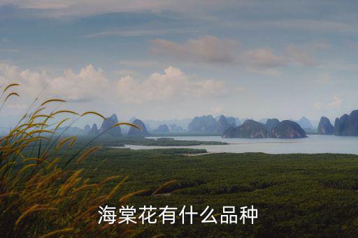 海棠花品種，海棠花有什么品種