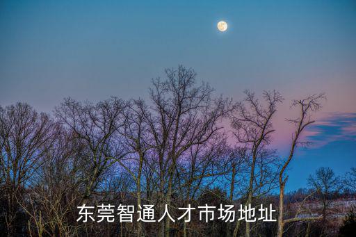 東莞智通，東莞智通人才市場地址