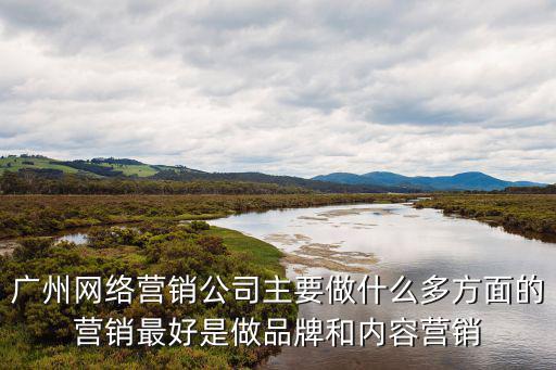 廣州網絡營銷公司主要做什么多方面的營銷最好是做品牌和內容營銷