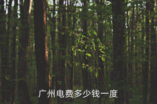 廣州電費(fèi)多少錢一度