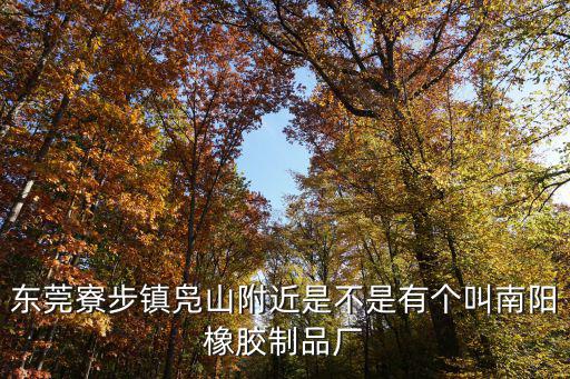 東莞寮步鎮鳧山附近是不是有個叫南陽橡膠制品廠