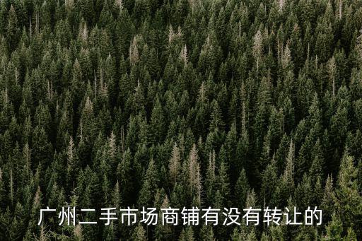 廣州商鋪出售，廣州天河區哪里有旺鋪要低價轉讓呢