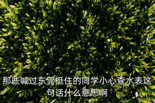 那些喊過東莞挺住的同學小心查水表這句話什么意思啊