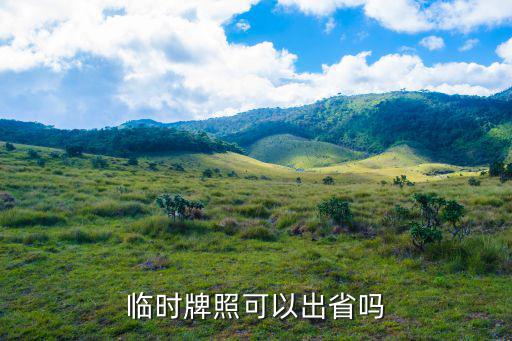 臨時牌照可以出省嗎
