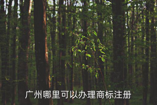 廣州商標注冊，在廣州公司的商標在哪里注冊呢需要什么手續呢