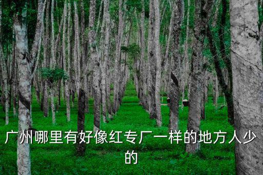 廣州紅專廠，廣州的紅專廠是干什么用的