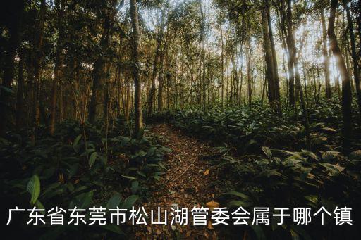 廣東省東莞市松山湖管委會(huì)屬于哪個(gè)鎮(zhèn)