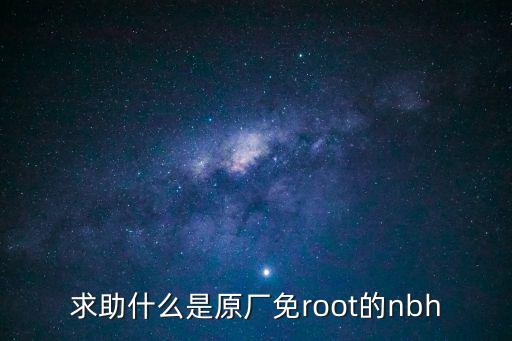 求助什么是原廠免root的nbh