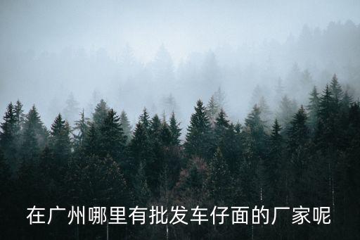 在廣州哪里有批發(fā)車(chē)仔面的廠家呢