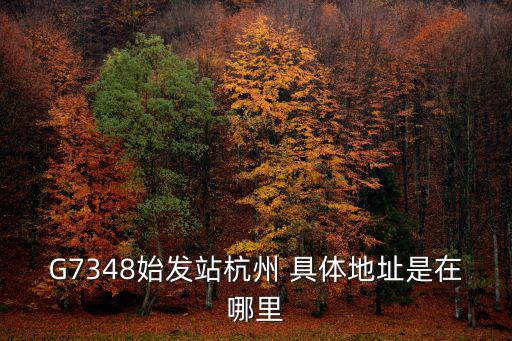 g7346，杭州到嘉興南G7346是在哪個火車站上車請幫忙
