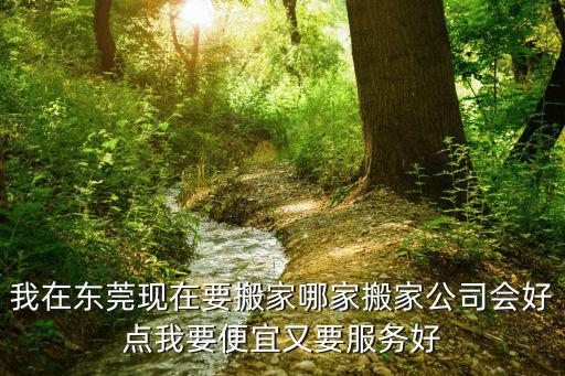 我在東莞現在要搬家哪家搬家公司會好點我要便宜又要服務好