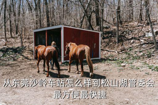 東莞松山湖管委會官網，怎么在東莞南城報業大廈市教育局在那里辦公 不是在東莞松山