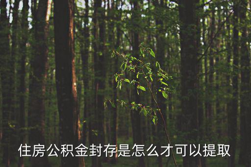 上海公積金封存后怎么提取，封存的公積金怎么提取的