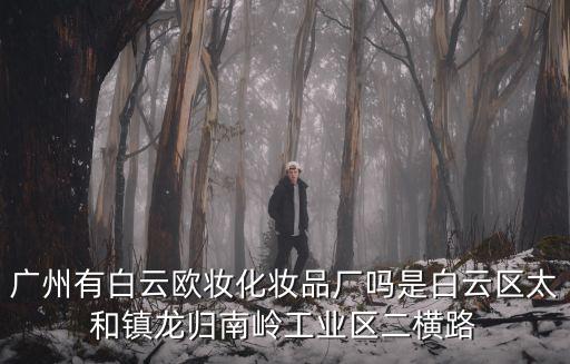 廣州有白云歐妝化妝品廠嗎是白云區太和鎮龍歸南嶺工業區二橫路