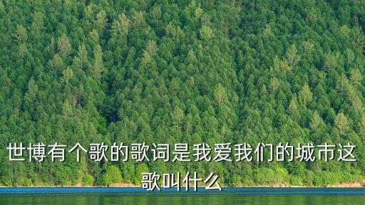 上海微笑，世博有個歌的歌詞是我愛我們的城市這歌叫什么