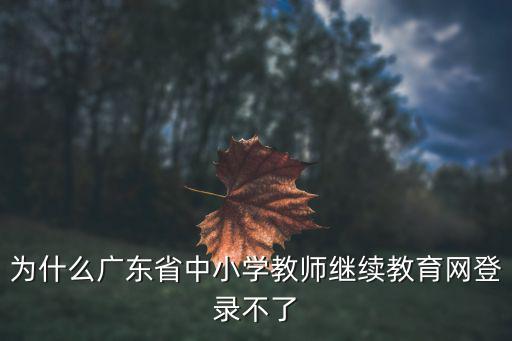 為什么廣東省中小學教師繼續教育網登錄不了