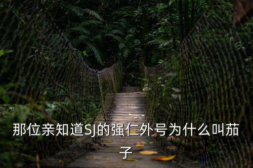 那位親知道SJ的強(qiáng)仁外號(hào)為什么叫茄子
