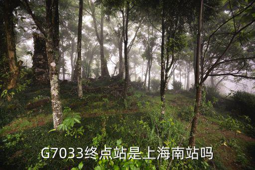 g7303，G7033終點站是上海南站嗎