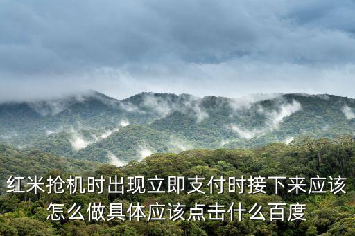 立即支付，立即支付是什么意思