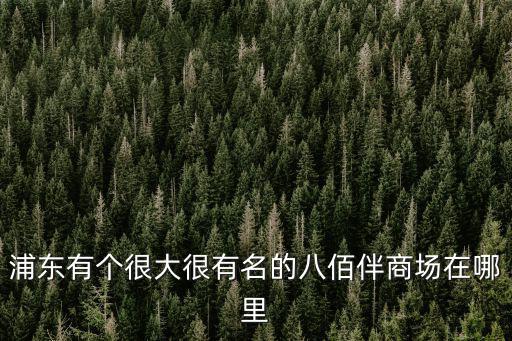 浦東有個很大很有名的八佰伴商場在哪里