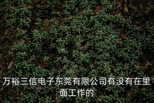 東莞雙迅電子商務有限公司，萬裕三信電子東莞有限公司有沒有在里面工作的