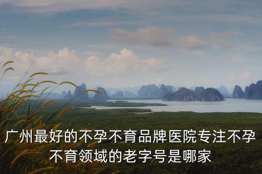 廣州最好的不孕不育品牌醫(yī)院專注不孕不育領域的老字號是哪家
