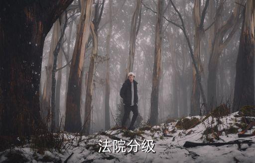 法院級別，法院分級