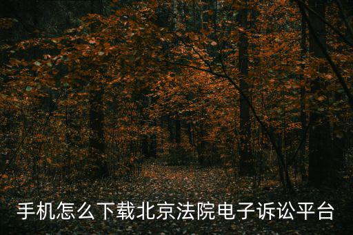 手機怎么下載北京法院電子訴訟平臺