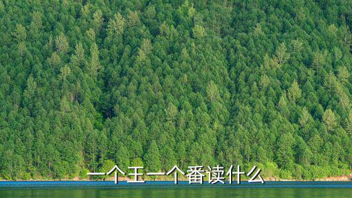 一個(gè)王一個(gè)番讀什么