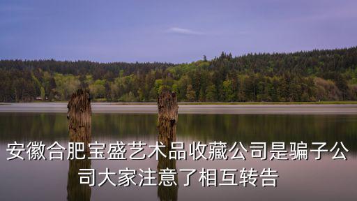 安徽合肥寶盛藝術品收藏公司是騙子公司大家注意了相互轉告