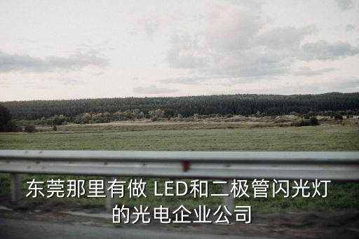 東莞那里有做 LED和二極管閃光燈 的光電企業(yè)公司