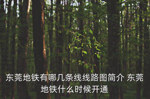 東莞地鐵有哪幾條線(xiàn)線(xiàn)路圖簡(jiǎn)介 東莞地鐵什么時(shí)候開(kāi)通