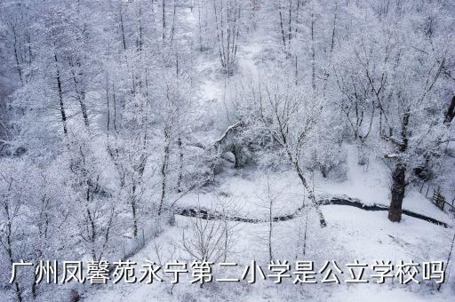 廣州鳳馨苑永寧第二小學是公立學校嗎