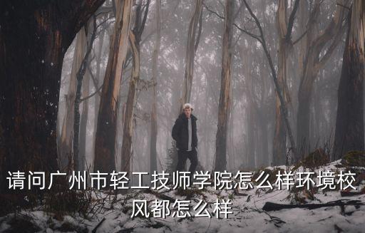 請問廣州市輕工技師學院怎么樣環境校風都怎么樣