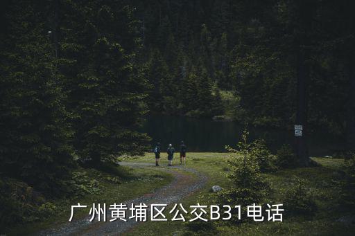 廣州市珠航校車服務有限公司，廣州黃埔區公交B31電話