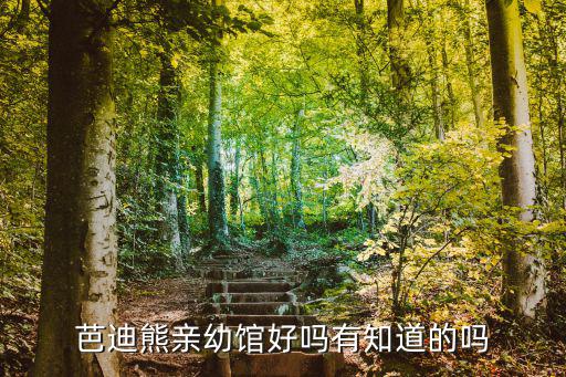芭迪熊親幼館好嗎有知道的嗎