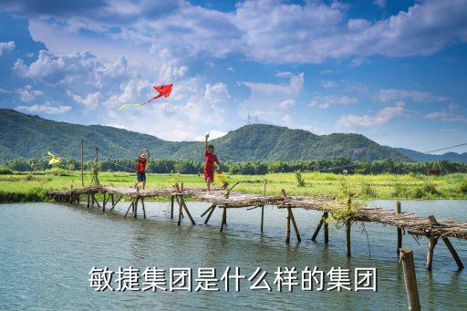敏捷集團是什么樣的集團