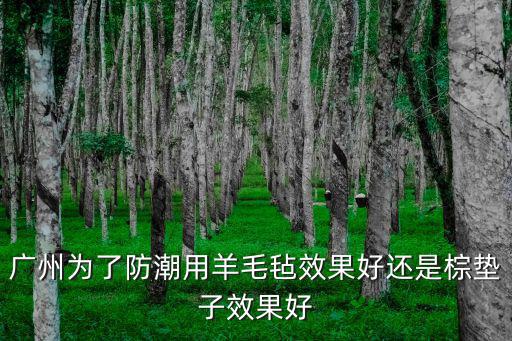 廣州羊毛氈 江南西，廣州為了防潮用羊毛氈效果好還是棕墊子效果好