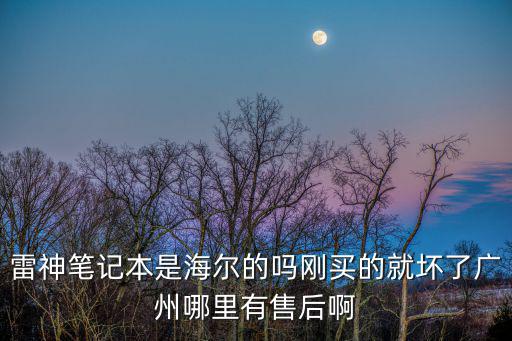 廣州雷神電器，雷神筆記本是海爾的嗎剛買的就壞了廣州哪里有售后啊