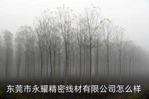 東莞市永耀精密線材有限公司怎么樣
