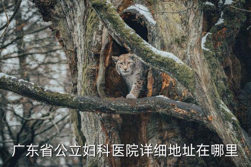 廣東省公立婦科醫院詳細地址在哪里