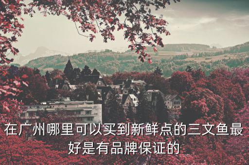 嘀嗒團廣州，嘀嗒團電話號碼