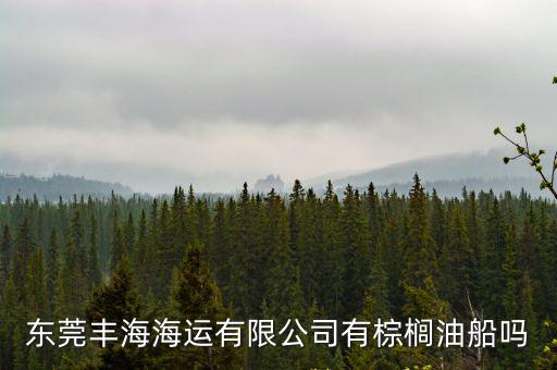 東莞豐海海運有限公司有棕櫚油船嗎
