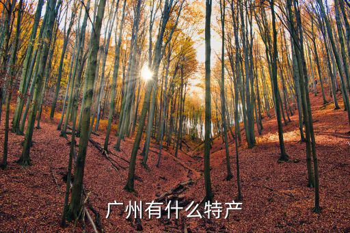 廣州有什么特產